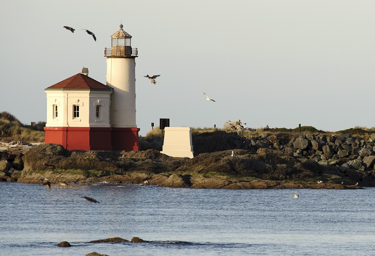 Lighthouse and large group of birds at Bandon beach, Coos County, Oregon, USA